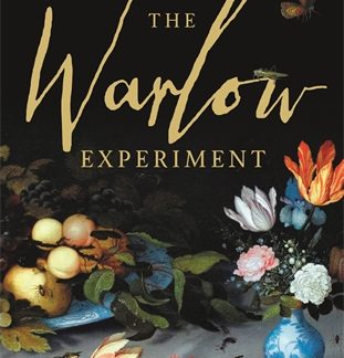 The Warlow Experiment (Epub)