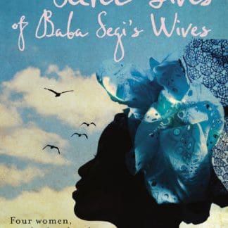 The Secret Lives of Baba Segi's Wives (B Format Paperback)