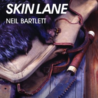 Skin Lane (B Format Paperback)