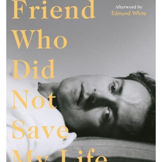 To the Friend Who Did Not Save My Life (Trade Paperback)
