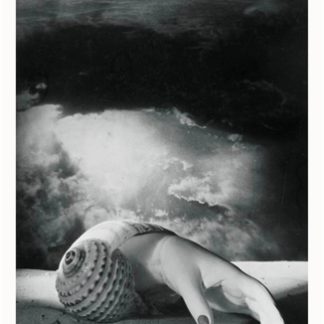 The Impostor (Epub)