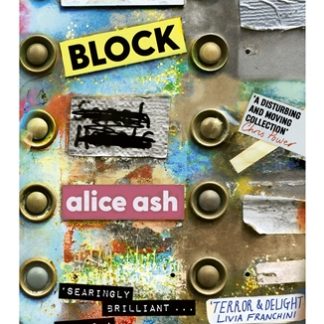 Paradise Block (B Format Paperback)