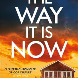 The Way It Is Now (Accessible EPUBAccessible EPUB)