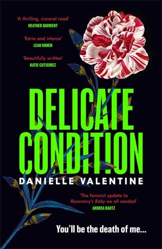 Delicate Condition (Accessible EPUBAccessible EPUB)
