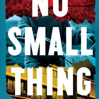 No Small Thing (Accessible EPUBAccessible EPUB)