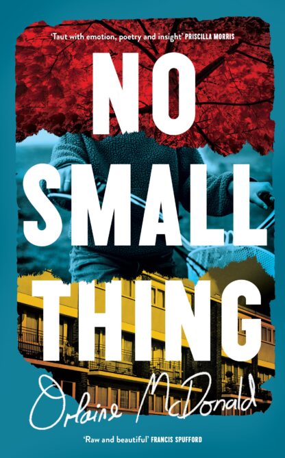 No Small Thing (Hardback)