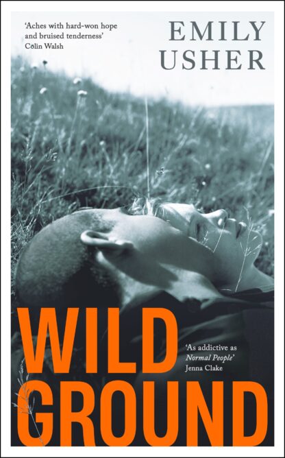 Wild Ground (Accessible EPUBAccessible EPUB)
