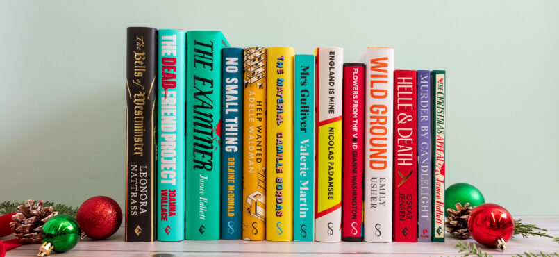 A photograph with 13 books facing spine-out. Christmas decorations surround the outside.