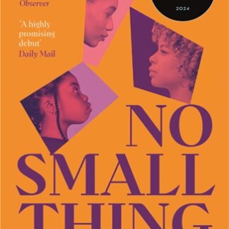 No Small Thing (B Format Paperback)