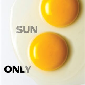 One Sun Only (Accessible EPUBAccessible EPUB)